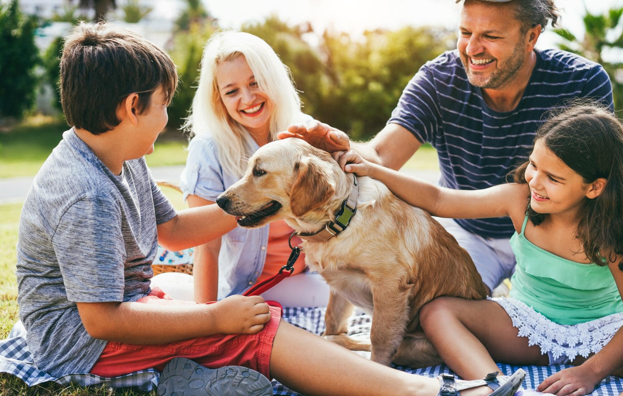 Pets in a Community: Creating Harmony in Dallas-Fort Worth, TX